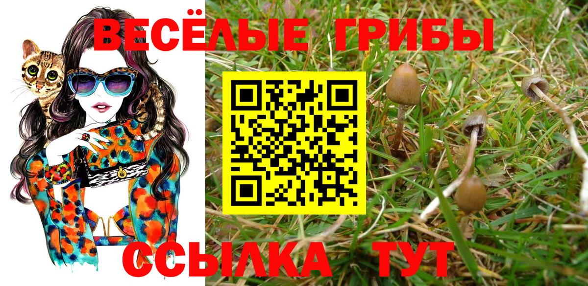 Псилоцибиновые грибы MAGIC MUSHROOMS Алейск