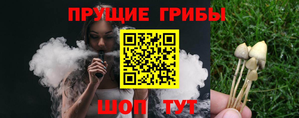 купить  сайты  Вход с VPN  Псилоцибиновые грибы прущие грибы  Алейск  Галлюциногенные грибы Psilocybe 